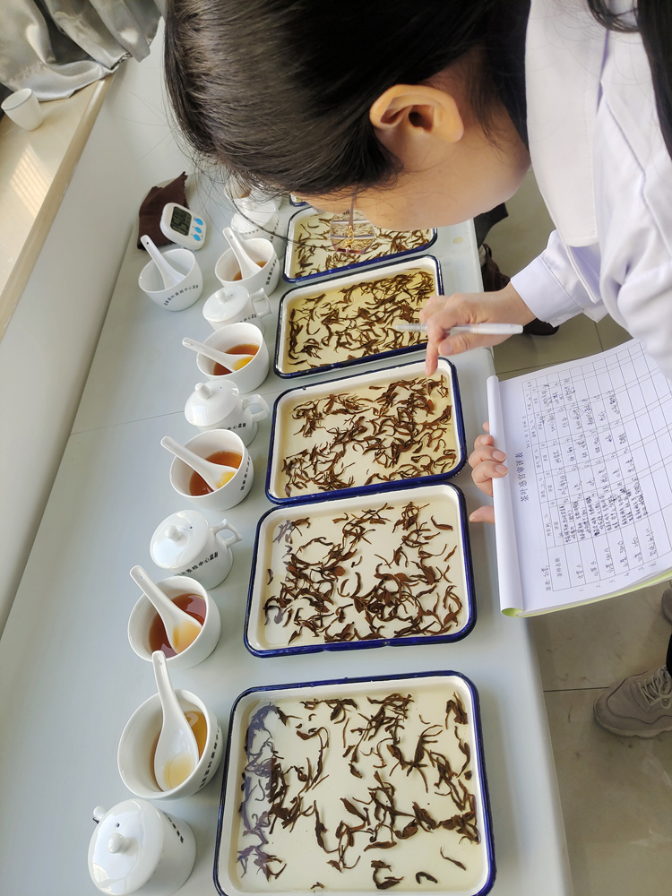 健康茶是企業(yè)紅線(xiàn)，質(zhì)量好是企業(yè)的根基